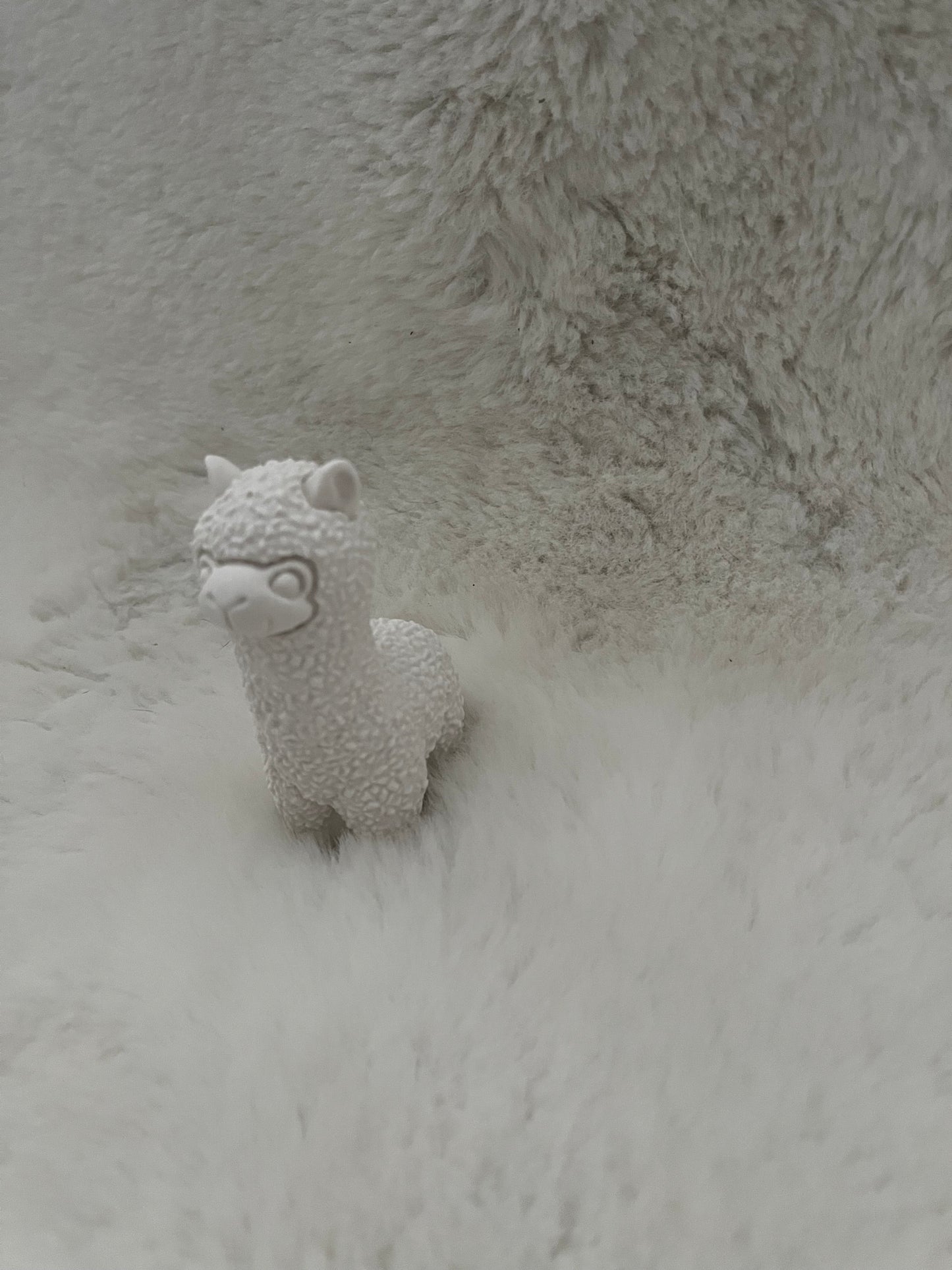 Lama